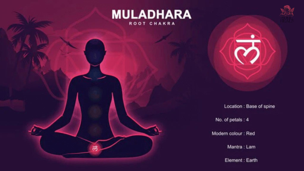 Root Chakra (Muladhara)
