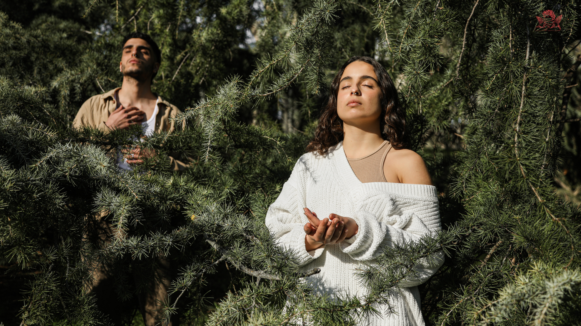 breathwork release trauma