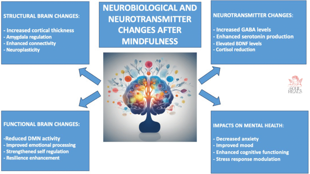 Neurobiological Changes Induced by Mindfulness and Meditation