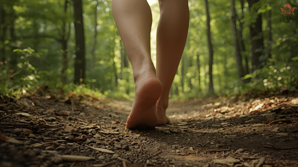 Grounding Techniques with Nature Walks