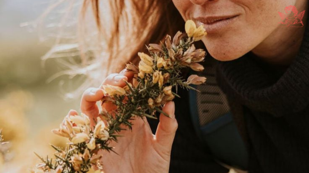 The Chakra System and Emotional Memory